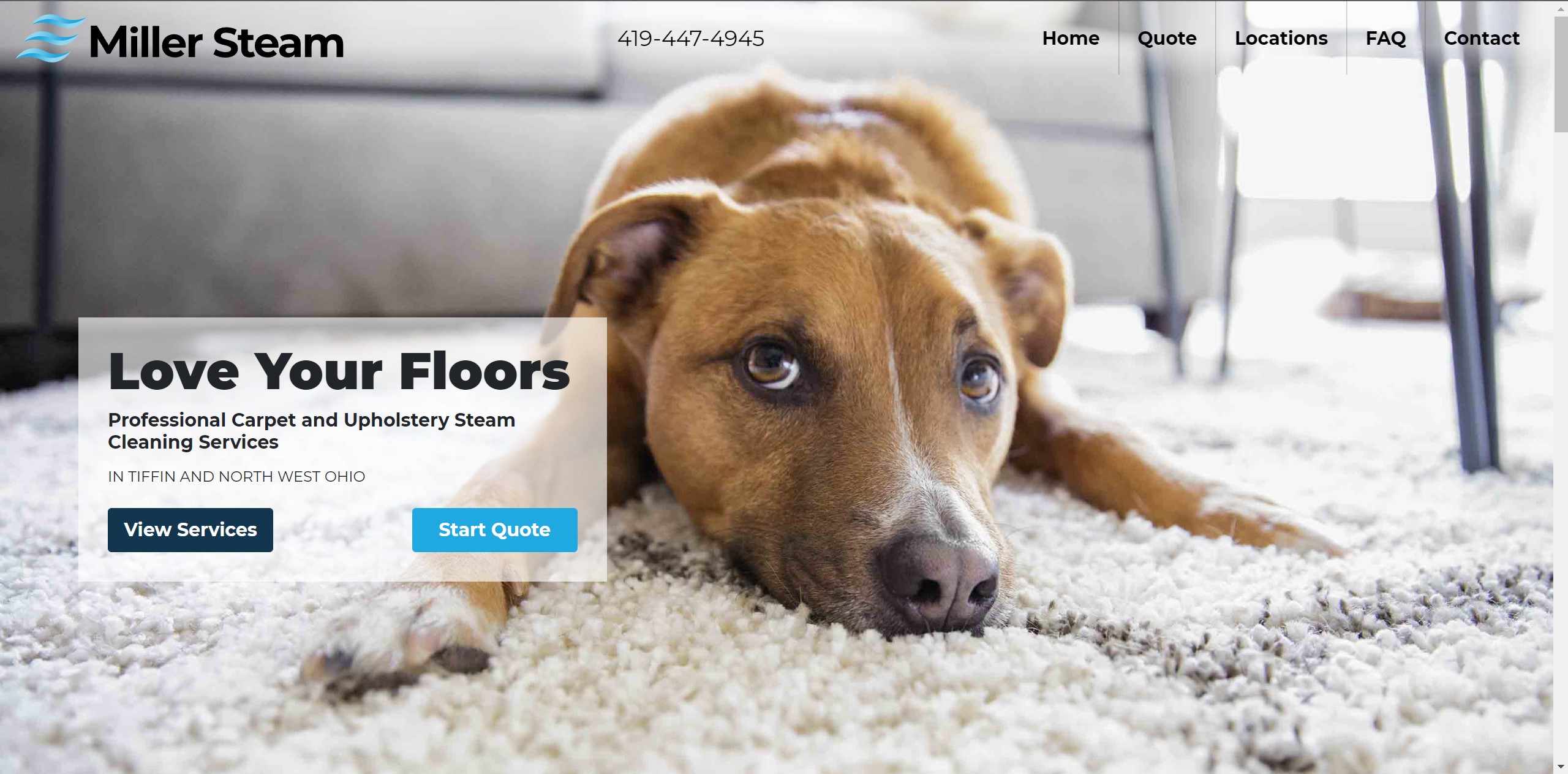 cleaning website landing page with dog on carpet